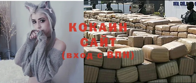 Cocaine FishScale  Краснознаменск 